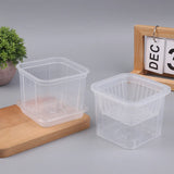 Root Control Transparent Flower Pot