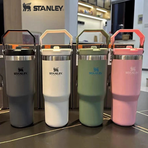 Stanley H20 cup