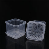Root Control Transparent Flower Pot
